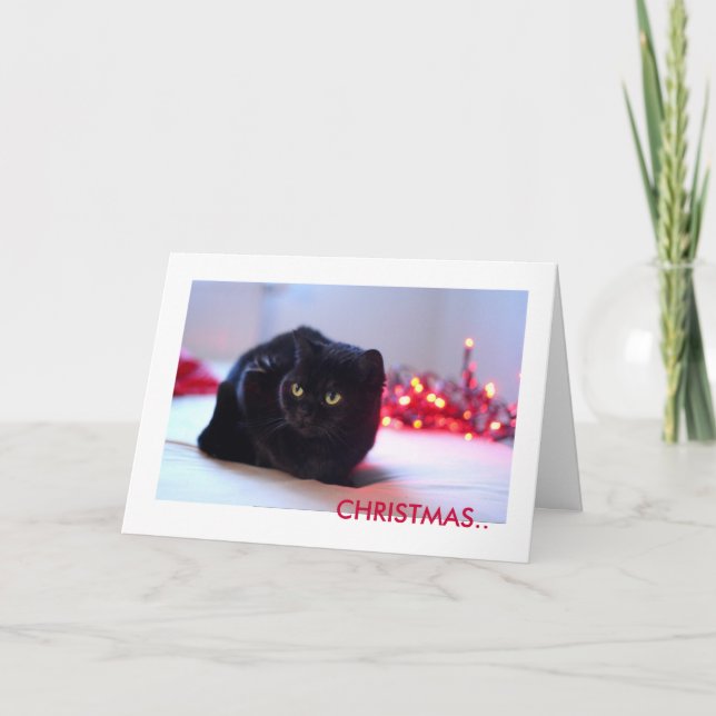 Christmas Greeting Card (Front)