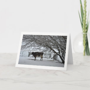 Christmas. Greeting Card. Cow in Snow. Holiday Card