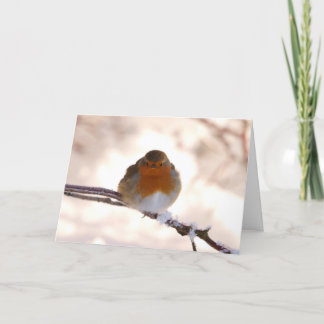 Christmas Greeting Card with Robin