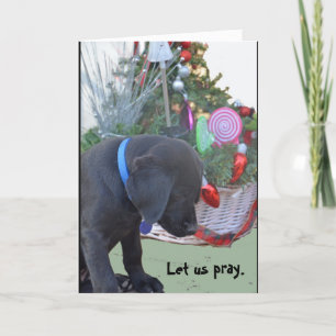 Christmas Greeting Holiday Card