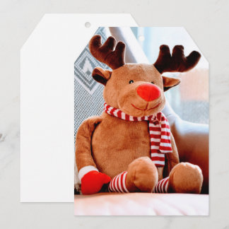 Christmas Greeting/Holiday Cards