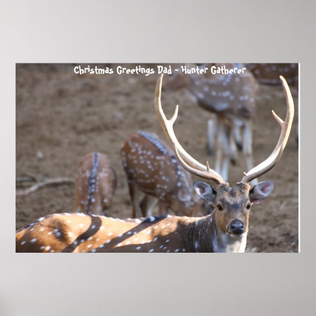 Christmas Greetings Dad Hunter Gatherer Poster (Front)