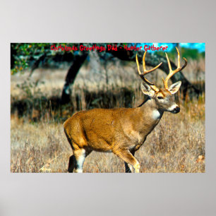 Christmas Greetings Dad Hunter Gatherer Poster