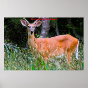 Christmas Greetings  Deerest Poster