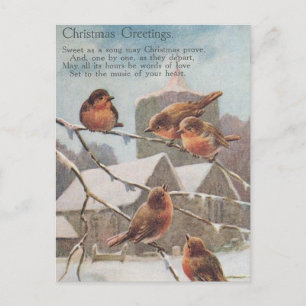CHRISTMAS GREETINGS  five robins on branches Postcard