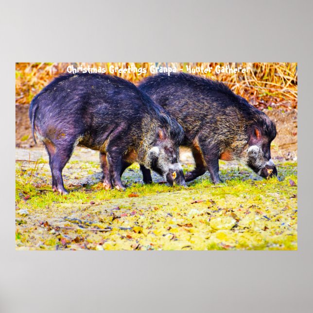 Christmas Greetings Grandpa Hunter Gatherer Poster (Front)