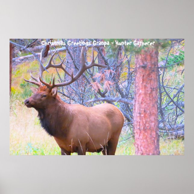 Christmas Greetings Grandpa Hunter Gatherer Poster (Front)