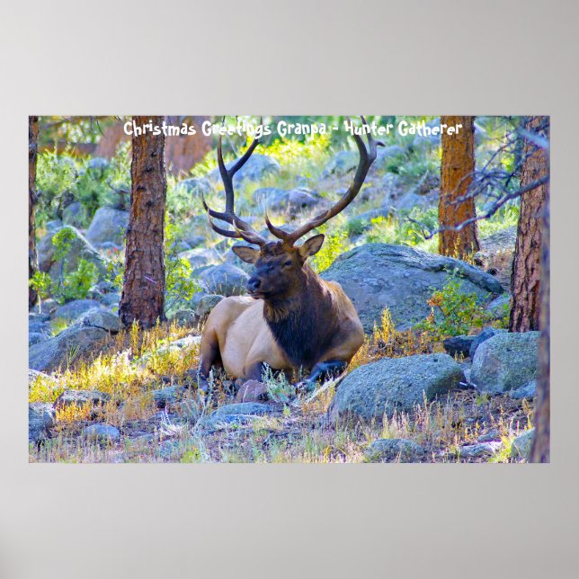 Christmas Greetings Grandpa Hunter Gatherer Poster (Front)
