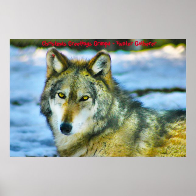 Christmas Greetings Grandpa Hunter Gatherer Poster (Front)