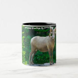 Christmas Greetings My Honey Friend Two-Tone Coffee Mug