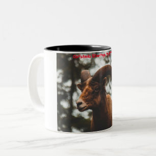 Christmas Greetings My Honey Friend Two-Tone Coffee Mug