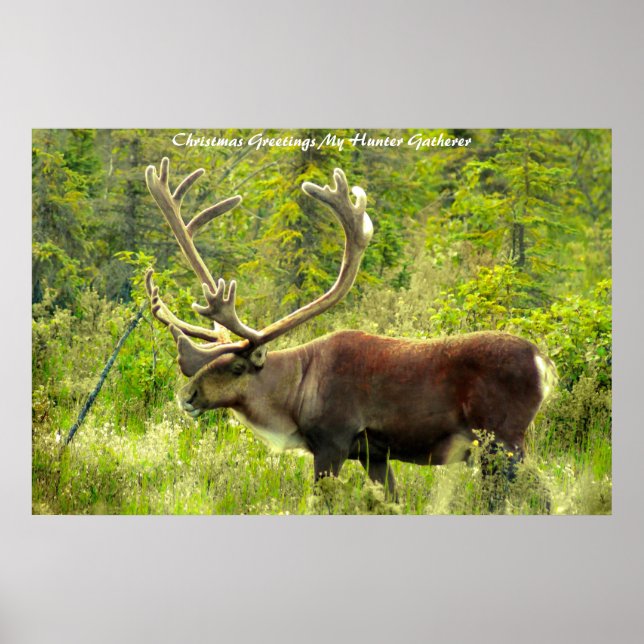 Christmas Greetings My Hunter Gatherer Poster (Front)