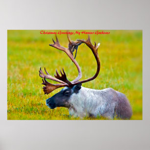 Christmas Greetings My Hunter Gatherer Poster