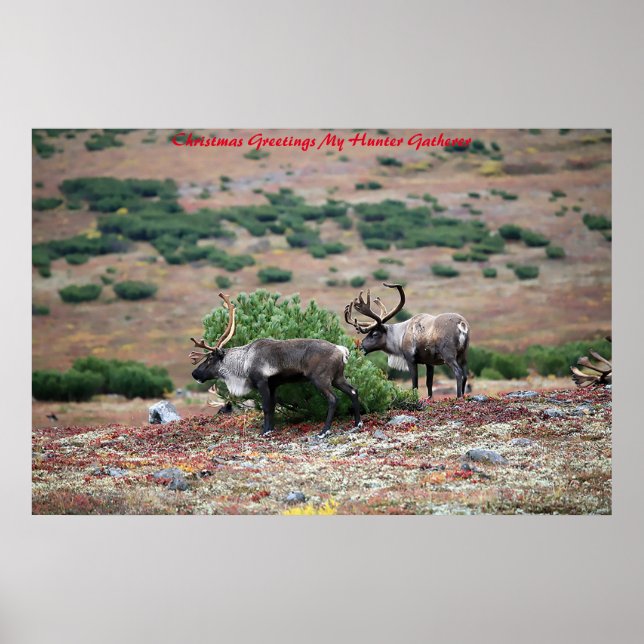 Christmas Greetings My Hunter Gatherer Poster (Front)