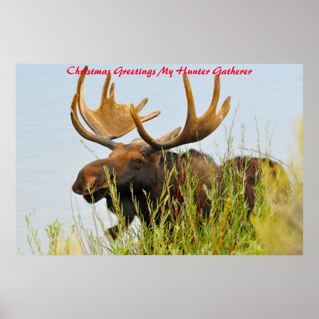 Christmas Greetings My Hunter Gatherer Poster (Front)