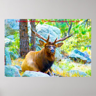 Christmas Greetings the Hunter Gatherer in my life Poster