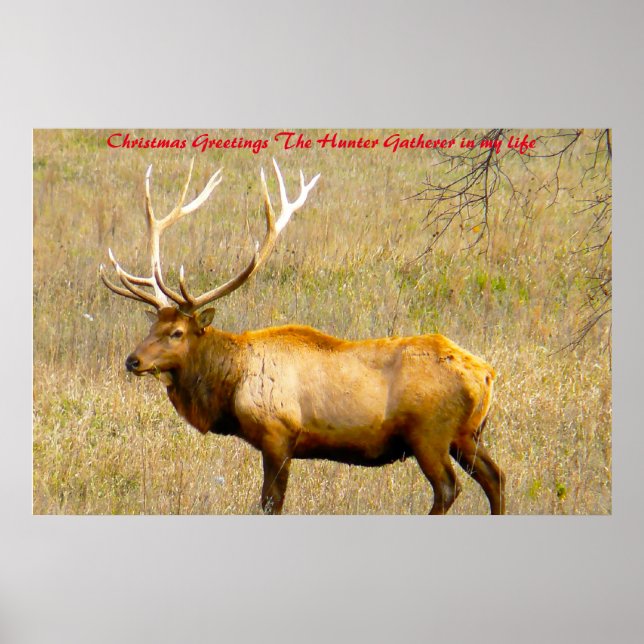 Christmas Greetings the Hunter Gatherer in my life Poster (Front)