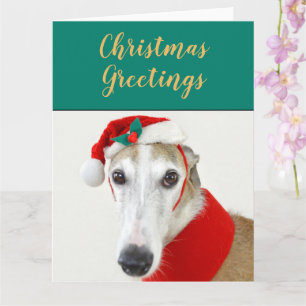 Christmas greyhound cute dog holiday postcard