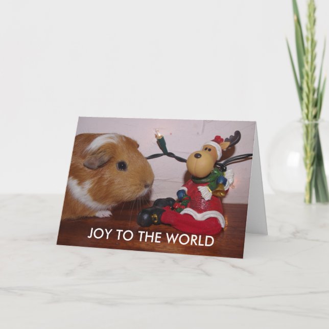CHRISTMAS GUINEA PIG CARD (Front)