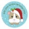 Christmas Guinea Pig In A Santa Hat Personalized