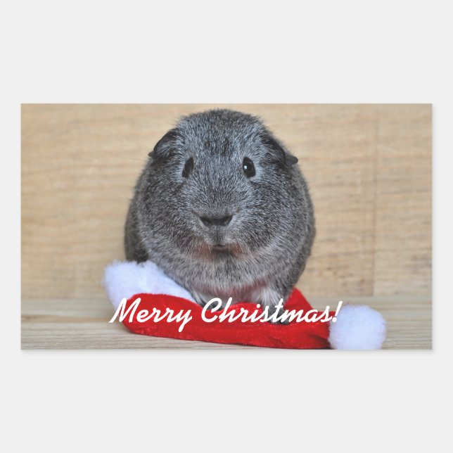 Christmas Guinea Pig Sticker (Front)