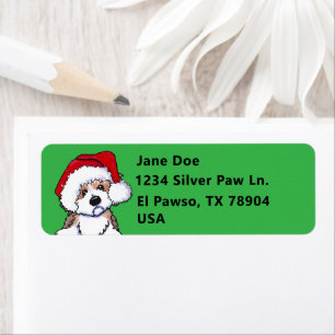 Christmas Havanese KiniArt