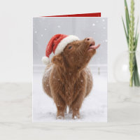 Christmas Highland Cow Catching Snowflakes