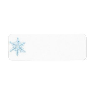 Christmas/holiday address labels