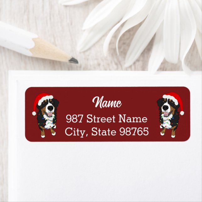 Christmas Holiday Bernese Mountain Dog (Insitu)