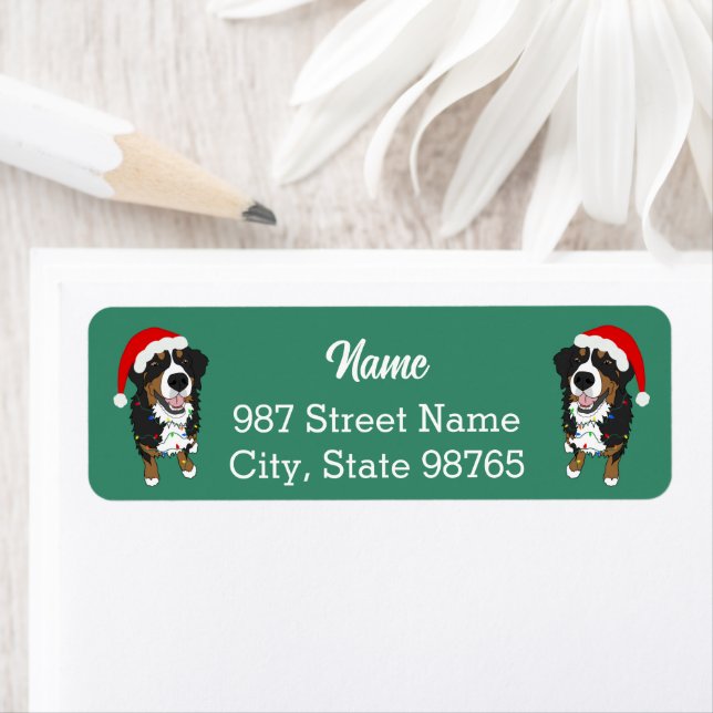 Christmas Holiday Bernese Mountain Dog (Insitu)