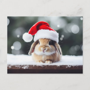 Christmas Holiday Bunny Postcard