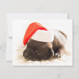 Christmas Holiday Card