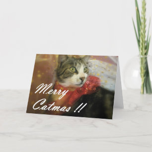 Christmas Holiday Card