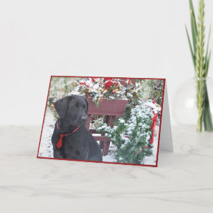 Christmas/Holiday Card ~ Labrador