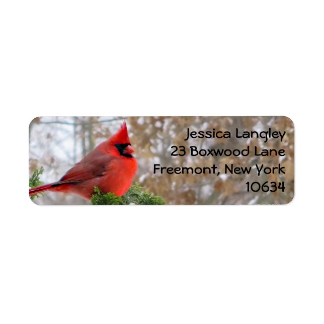 Christmas holiday cardinal branch address labels (Front)