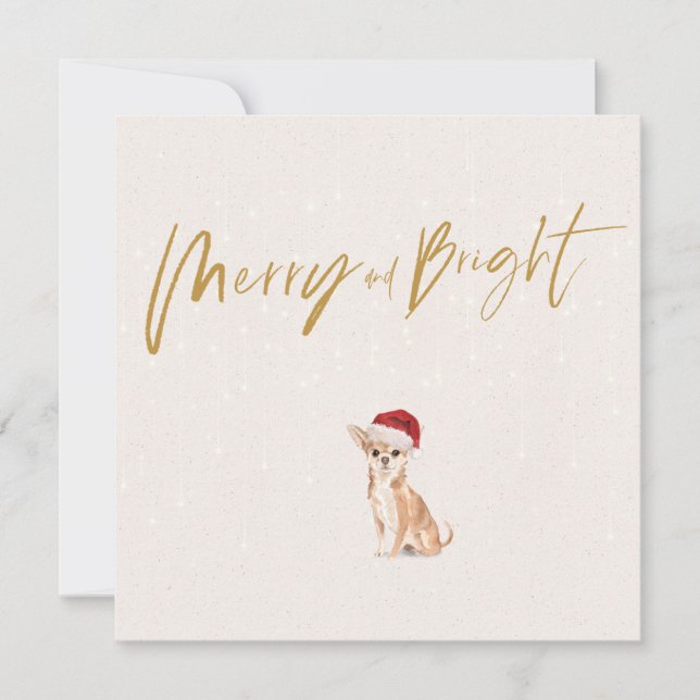 Christmas Holiday  Chihuahua Dog Merry Greeting (Front)