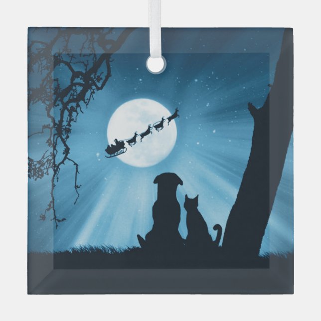 Christmas Holiday Cute Dog and Cat Santa Glass Ornament (Front)