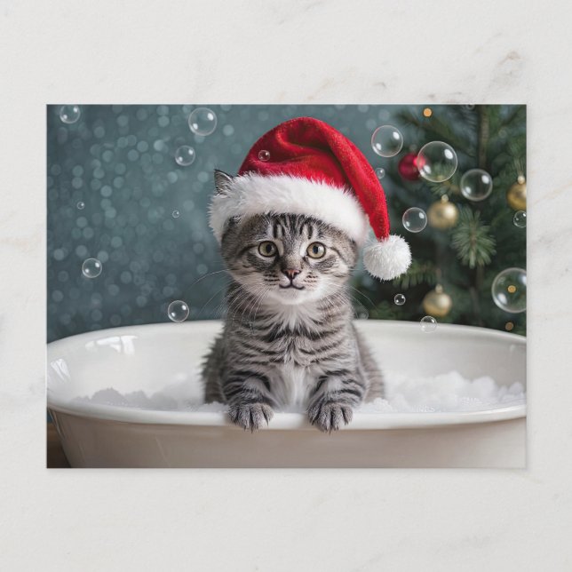 Christmas Holiday Cute Kitten Cat in Bubble Bath  (Front)