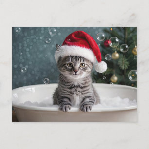 Christmas Holiday Cute Kitten Cat in Bubble Bath  Postcard