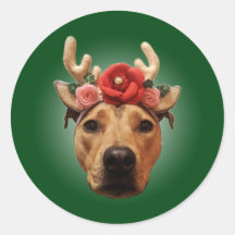 Christmas holiday dog sticker
