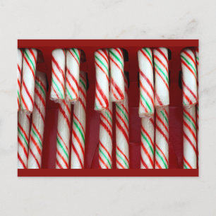 Christmas Holiday festive Candy Canes Postcard