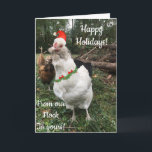 Christmas holiday hen sharing happy greetings!<br><div class="desc">Holiday Hen ( chicken) wishing those who are EGG-stra special in your life a happy holiday season ( from Christmas to New Year!)</div>