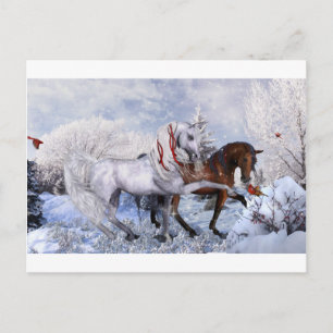 Christmas Holiday Horses Postcard