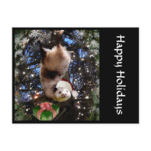 Christmas Holiday Opossum Postcard