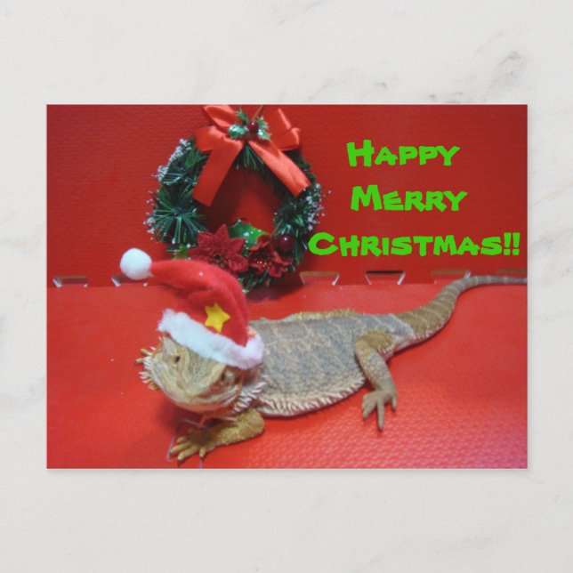 Christmas Holiday Postcard (Front)