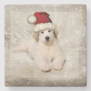 Christmas Holiday - Pyr Puppy Santa Hat Stone Coaster