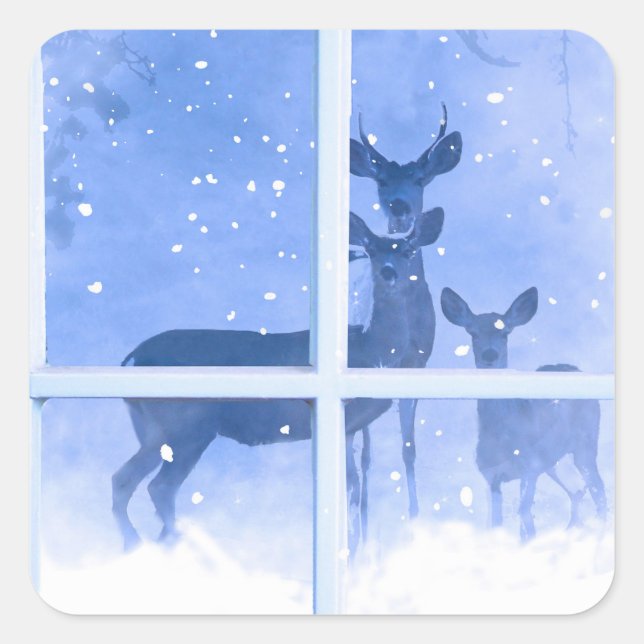 Christmas Holiday Wildlife Deer in the Window Square Sticker (Front)