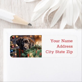 Christmas Holidays Chocolate Lab Puppy Return