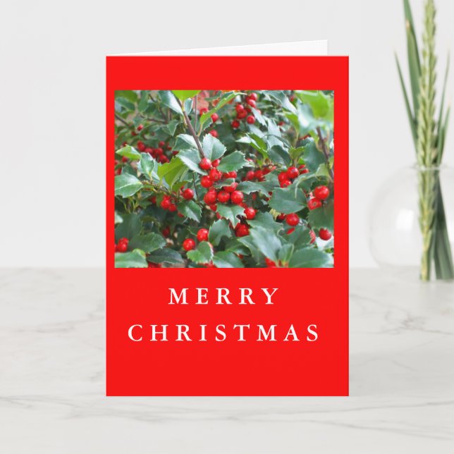 Christmas Holly Holiday Card (Front)
