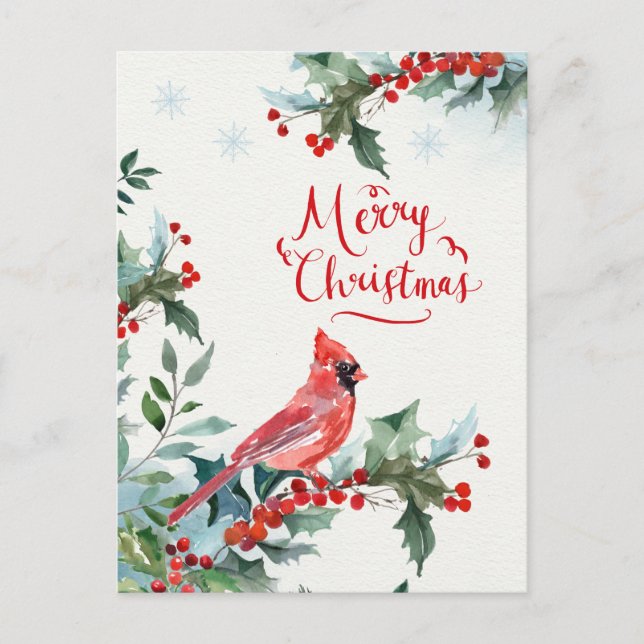 Christmas holly, red Cardinal, Holiday Postcard (Front)